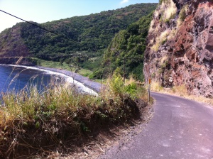 een stukje van de 103 km lange weg | Hana Highway